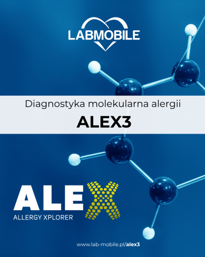 alex3.png