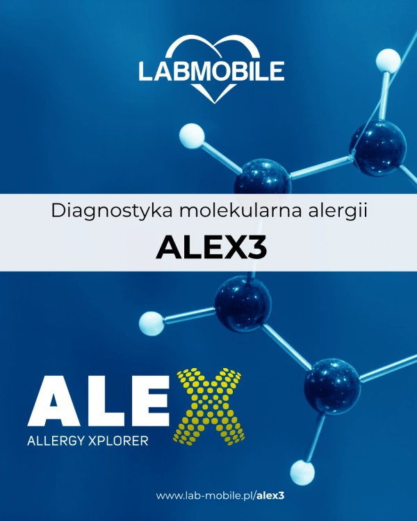 alex3.png