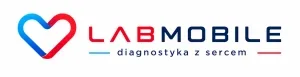 Shoper demo brak logo - strona główna