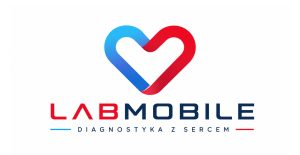 Shoper demo brak logo - strona główna