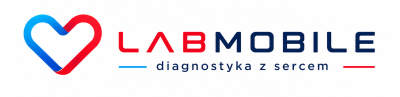 Shoper demo brak logo - strona główna